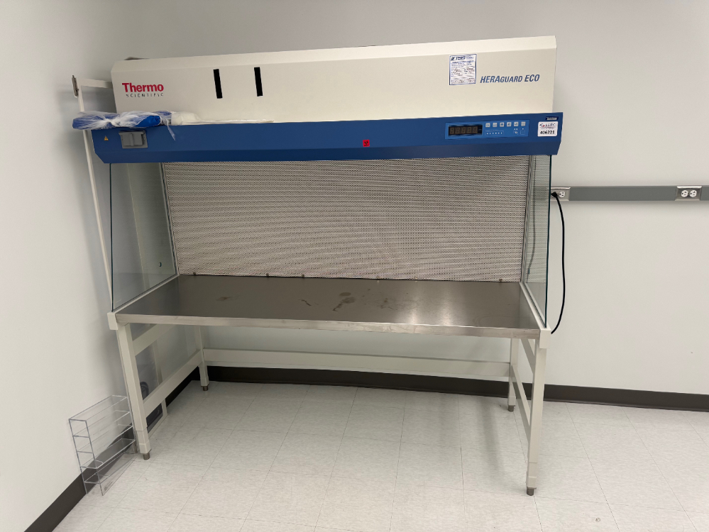 Image of Thermo HERAguard ECO 6' Laminar Flow Hood